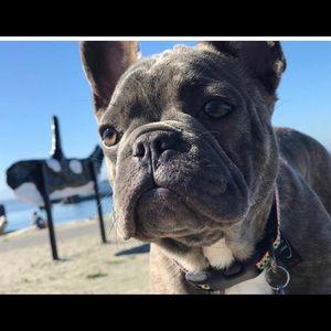 Meet your Posher, Randi